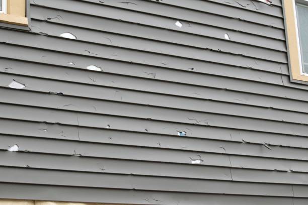 Historical Building Siding Restoration in Alpine, CA