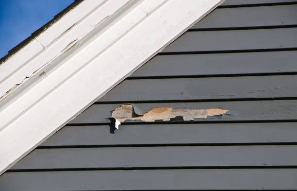 Best Fiber Cement Siding Installation  in Alpine, CA