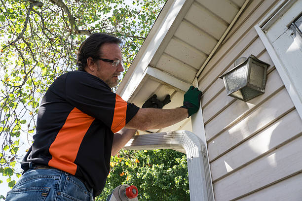 Best Brick Veneer Siding  in Alpine, CA